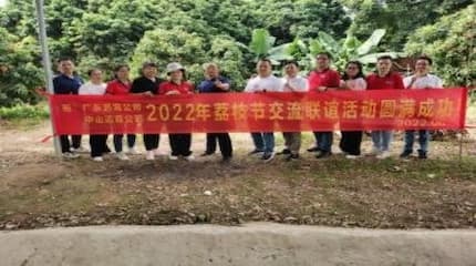 荔枝节即将到来